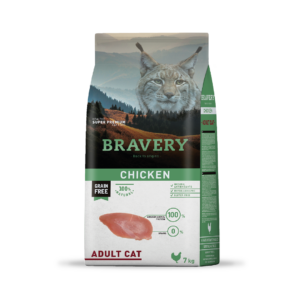 Bravery Chicken Adult Cat