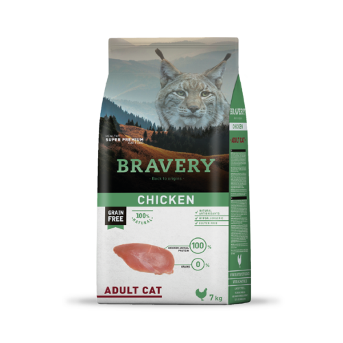 Bravery Chicken Adult Cat