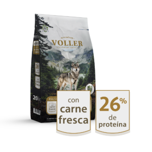Voller Adulto