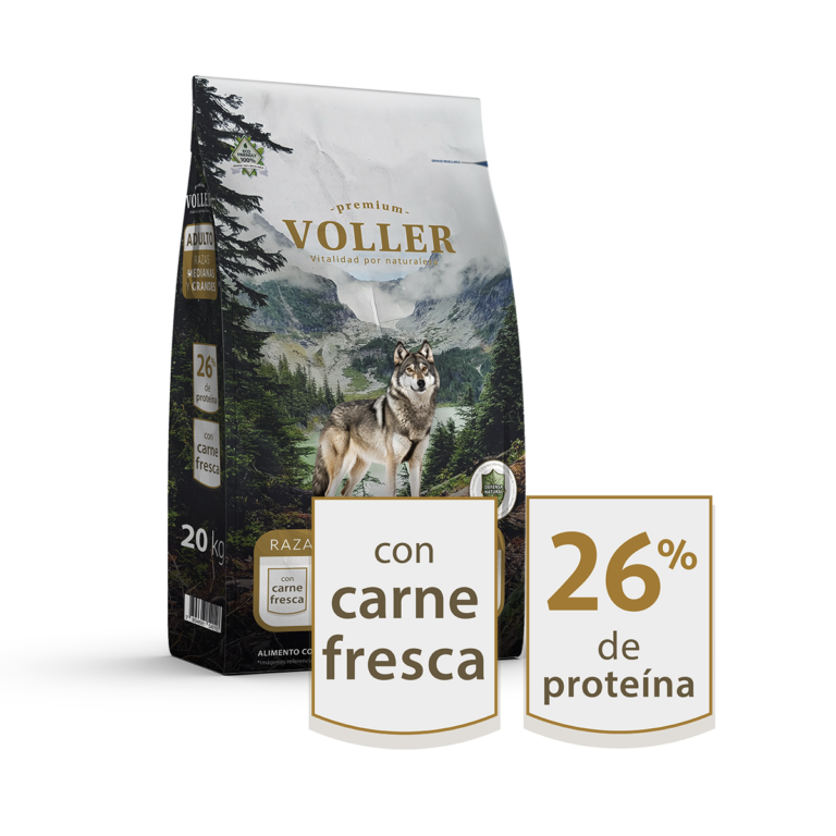 Voller Adulto