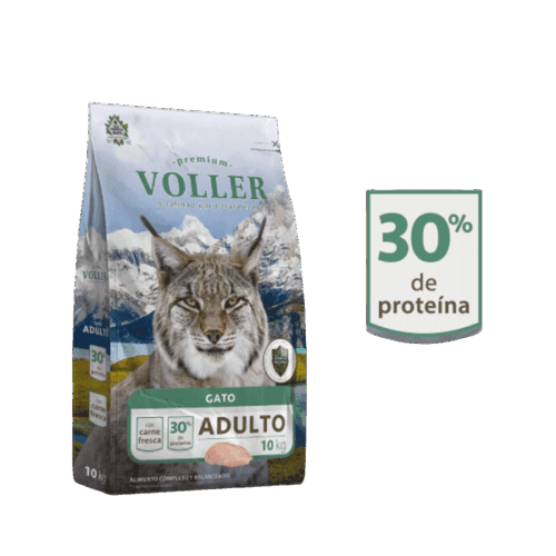 Voller Gato