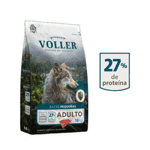 Voller Adulto Razas Pequeñas